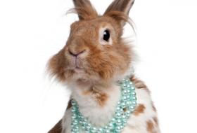bunny rabbit necklace pearls blue