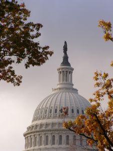 Government Job Listings