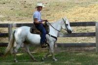 Do you find the idea of working on a ranch appealing?