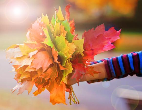 autumn leaves