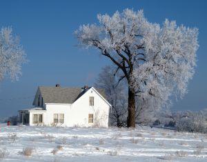 What type of home loan is best for you?