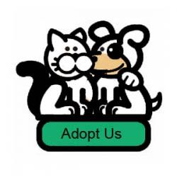 Animated Cyber Pets