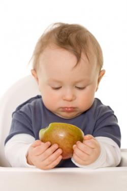 baby eating an apple