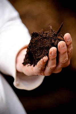 Compost