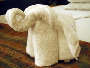 external image 86181-300x225-Towel_Origami.jpg