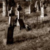 The graveyard at dusk