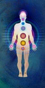 Diagram of the seven chakras