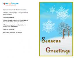 Vertical Snowflake Invitation