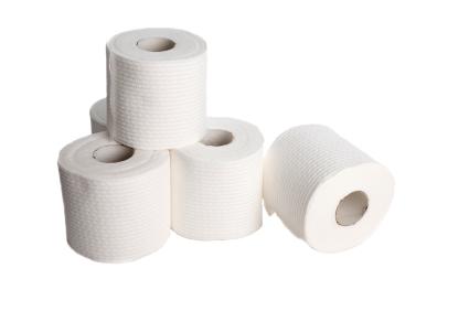 rolls of toilet paper