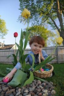 An egg hunt is a great Easter party game idea.