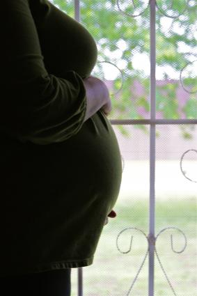 pregnant stomach