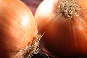 onion recipes