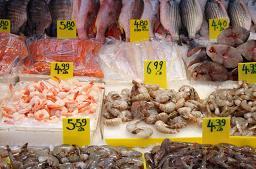 fresh seafood