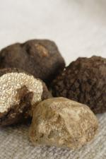 black and white truffles