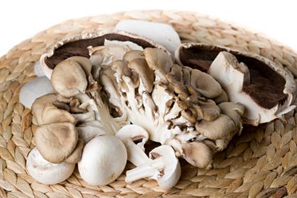 Edible Mushrooms