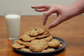 Plate of chocolate-chip cookies.
