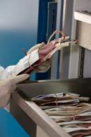 Blood Borne Pathogens