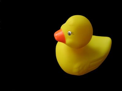 rubber duck