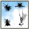 Learn More About Fairy