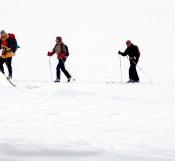 Sci nordico