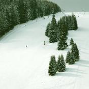 Sciare a Hidden Valley!