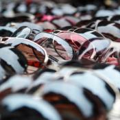 Wholesale sunglasses