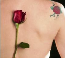 Rose Tat