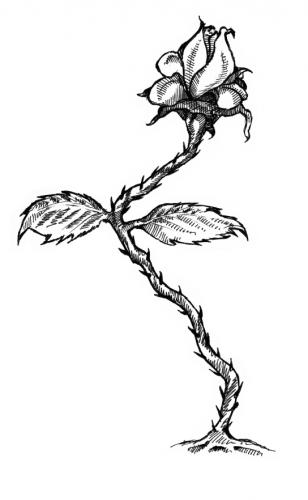 Simple Sunflower Tattoo