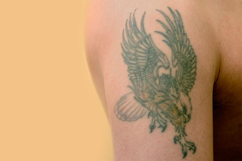 Eagle Tattoo Upper Arm | eagle tattoo gallery slideshow Eagle Tattoo Upper Arm | eagle tattoo gallery slideshow