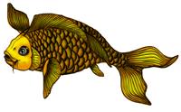 Koi iliustracija už tatuiruotę