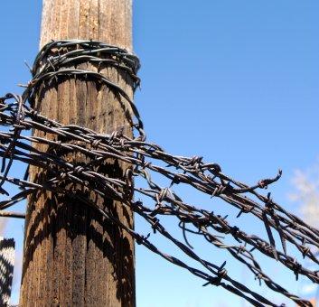 Barbed Wire Tattoos on Barbed Wire Tattoos