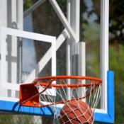 basketball sitting in net