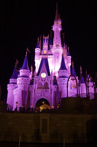 walt disney world castle at night. Walt Disney World Resort#39;s