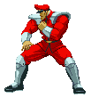 M. Bison