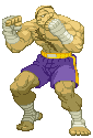 Sagat