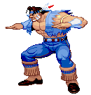 T. Hawk