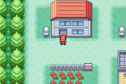 Pokemon screenshot