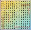 Word Search puzzle