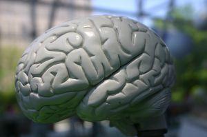 Hidden powers of the brain