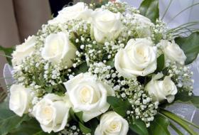 Mangolia flowers for wedding