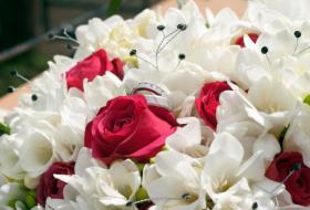 Top Suggested Wedding Reception Foods - Life123 Top Suggested Wedding Reception Foods - Life123