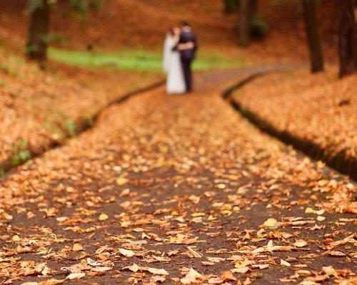 Autumn Locations Fall wedding decorations Autumn Locations Fall wedding decorations