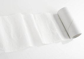 toilet paper