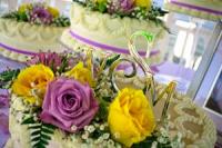 Wedding Cake Topper Pictures