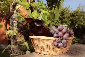 Wine and grapes in basket
