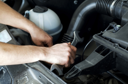 Auto Parts Websites