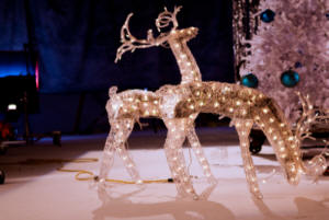 Christmas Decorations