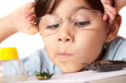 Top Kindergarten Sites