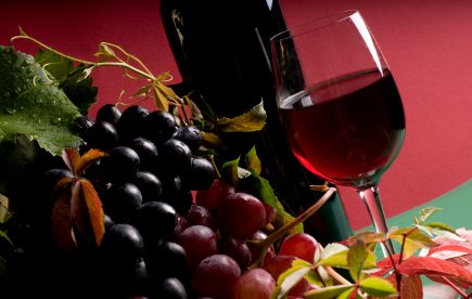Merlot Wines
