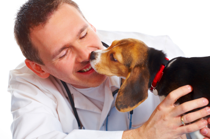 Pet Health Websites